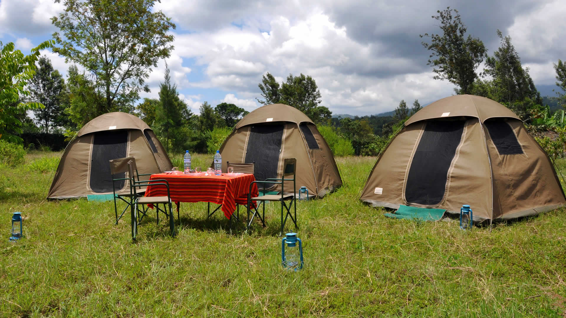 5-day tanzania budget safari tour 